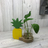 Hydroponic Home Dcor - Pineapple Pot