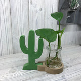 Hydroponic Home Dcor - Cactus Pot