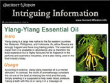 Rosemary Essential Oil Info