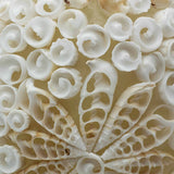 Boho Sea Shell Lamp - Cut Art Shell Oval - 15cm