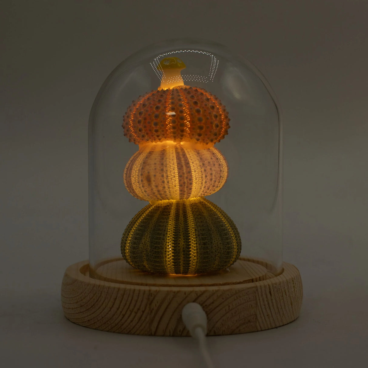 Floral Glow Garden Dome - 3 Sea Urchins - LED USB
