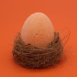 Bath Eggs in a Tray- Tangerine & Grapefruit