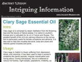 Clary Sage Essential Oil Info