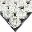 Craft Soap Flower - Ext Large Peony - White