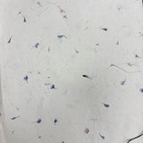Lokta Craft & Wrapping Paper 51x76cm  Cornflower Petal