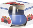 Scented Glass Jar Candle - Forest Fruits