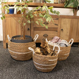 Cotton & Seagrass Large Baskets  Natural Stripes  Set of 3