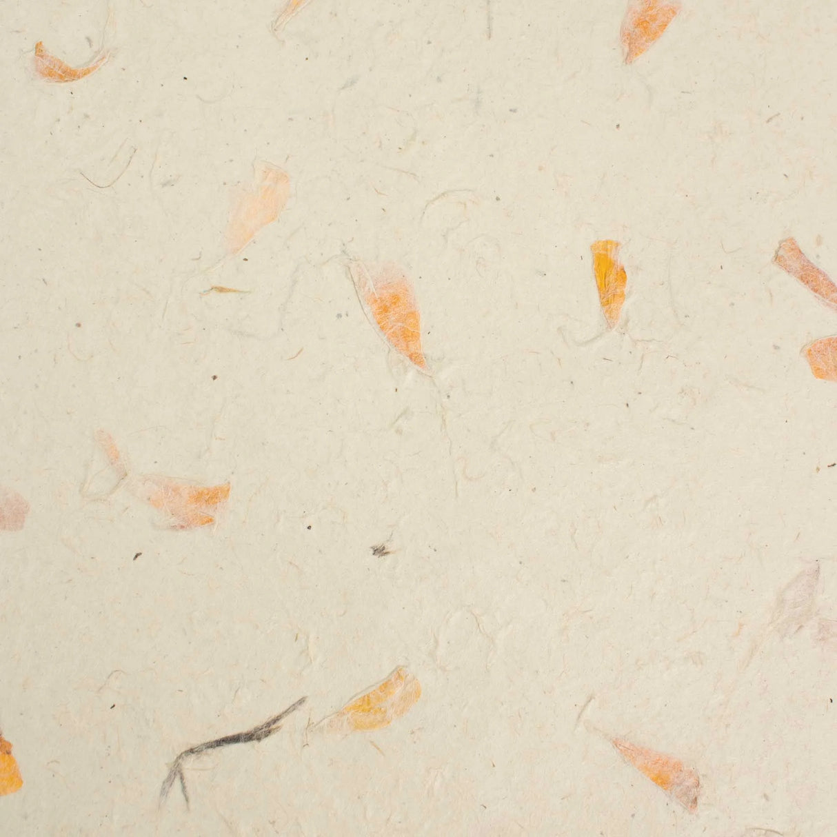 A4 - Lokta Craft Paper (20 sheet pack) - Marigold