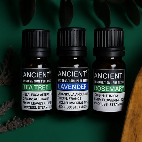 Set of Lavender, Tea Tree & Rosemary Essential Oils - 10ml Each