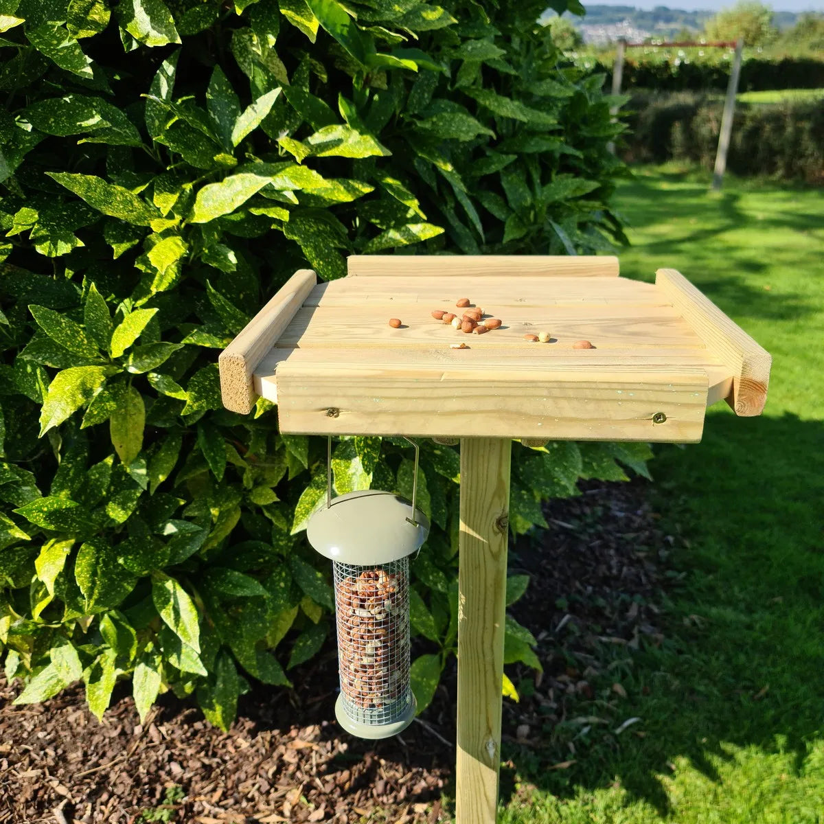 BIRD TABLE - PIGEON PROOF