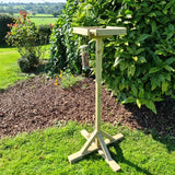 BIRD TABLE - PIGEON PROOF
