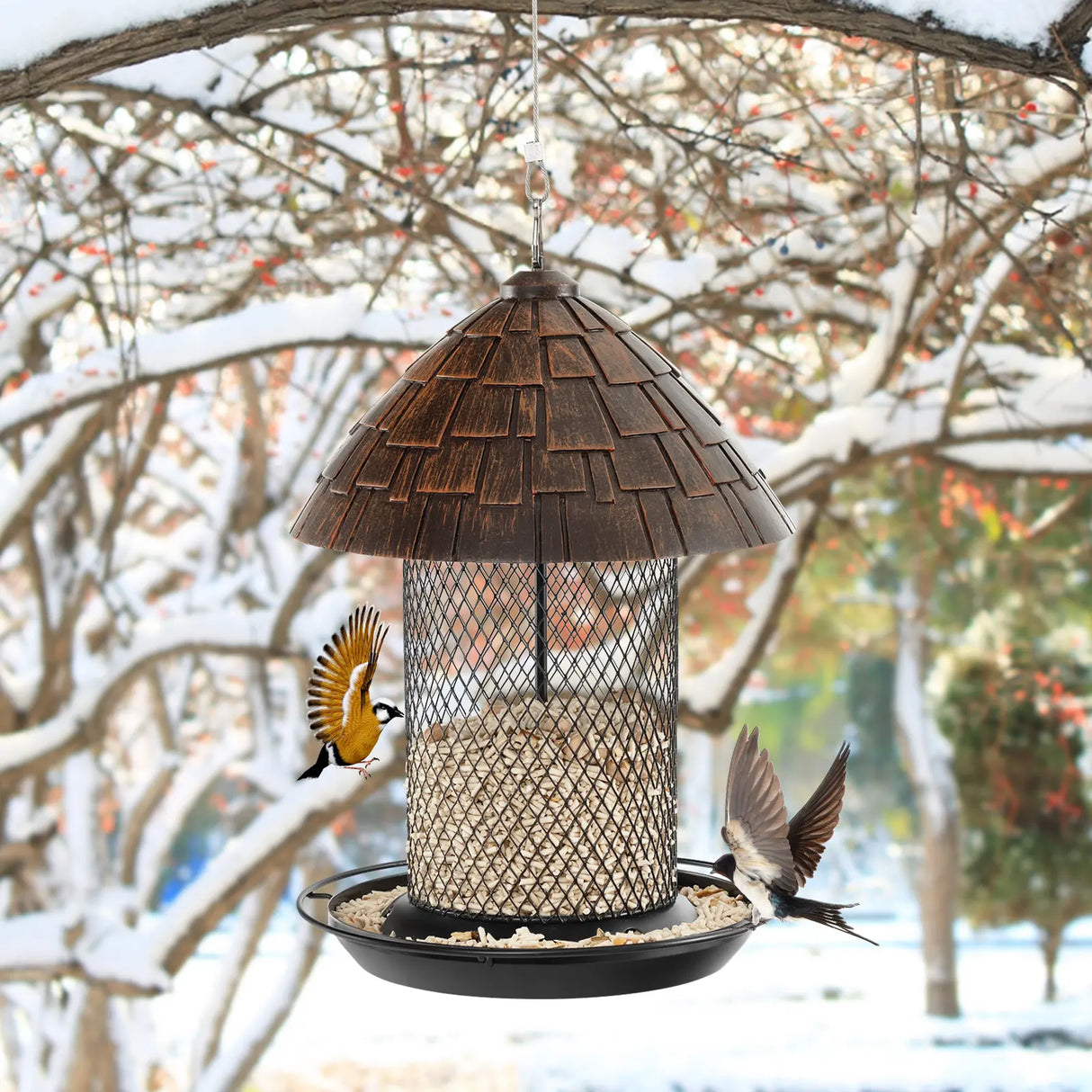 Squirrel-proof Metal Wild Bird Feeder with Perch and Drain Holes