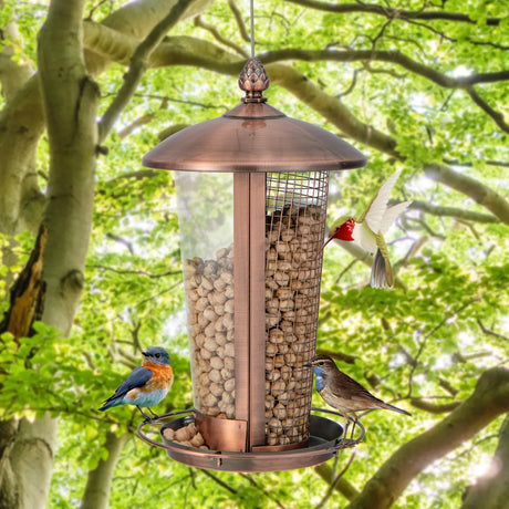 Hanging Bird Feeder 2 in 1 Wild Bird Feeder 16 x 28 cm Bronze