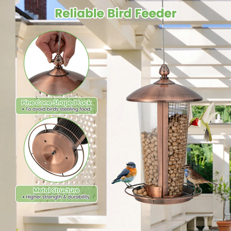 Hanging Bird Feeder 2 in 1 Wild Bird Feeder 16 x 28 cm Bronze