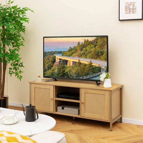 Boho TV Stand for TV up to 55 Inches with Faux Rattan Door-Natural