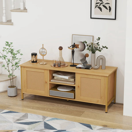 Boho TV Stand for TV up to 55 Inches with Faux Rattan Door-Natural
