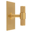 KNURLED T-BAR KNOB ON RECTANGULAR BACKPLATE - SATIN BRASS - SET