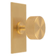 KNURLED RADIO KNOB ON RECTANGULAR BACKPLATE - SATIN BRASS - SET