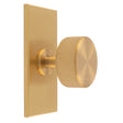 LINES RADIO KNOB ON RECTANGULAR BACKPLATE - SATIN BRASS - SET