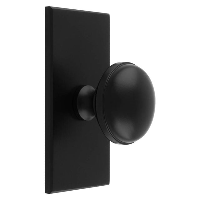 WARWICK KNOB ON RECTANGULAR BACKPLATE - MATT BLACK - SET