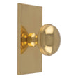 WARWICK KNOB ON RECTANGULAR BACKPLATE - POLISHED BRASS - SET