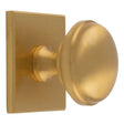 WARWICK KNOB ON SQUARE BACKPLATE - SATIN BRASS - SET