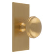 WARWICK KNOB ON RECTANGULAR BACKPLATE - SATIN BRASS - SET