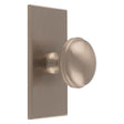 WARWICK KNOB ON RECTANGULAR BACKPLATE - SATIN NICKEL - SET