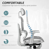 HOMCOM Multi-Adjustable Mesh Office Chair - Grey and White