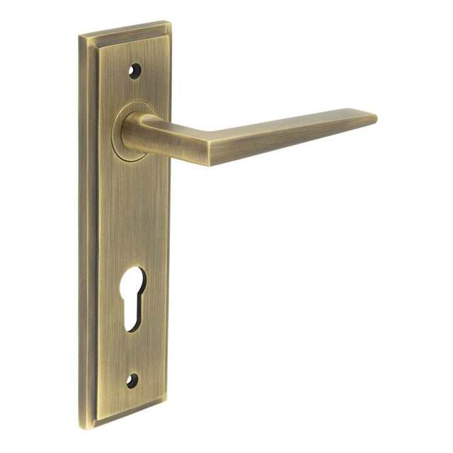 Mayfair Door Handle Din Euro Backplate Antique Brass