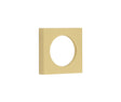 Burlington Plain Square Outer Rose for Burlington Escutcheon Satin Brass
