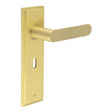 Kensington Door Handle Lock Backplate Satin Brass