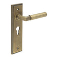 Westminster Door Handle Euro Backplate Antique Brass