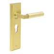 Westminster Door Handle Euro Backplate Satin Brass
