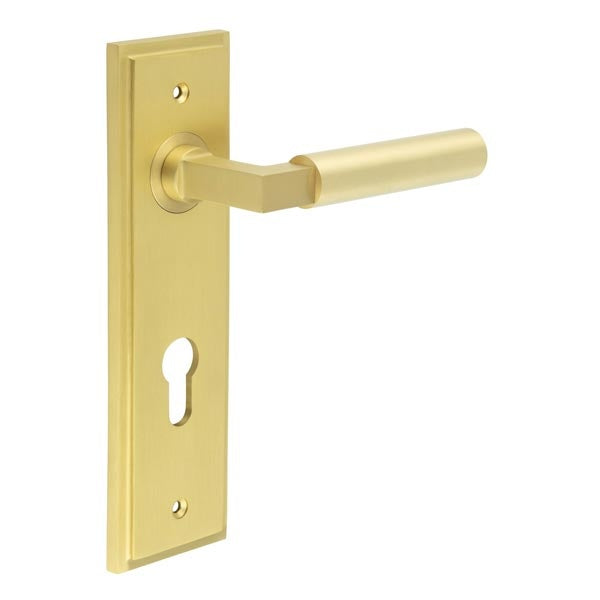 Westminster Door Handle Din Euro Backplate Satin Brass