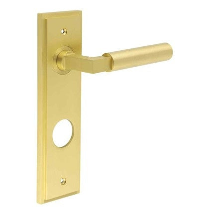 Westminster Door Handle Din Bathroom Backplate Satin Brass