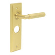 Piccadilly Door Handle Bathroom Backplate Satin Brass