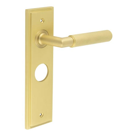 Piccadilly Door Handle Bathroom Backplate Satin Brass
