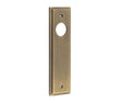 Burlington II Lever Plate Choices Latch Antique Brass