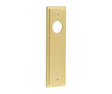Burlington II Lever Plate Choices Latch Satin Brass
