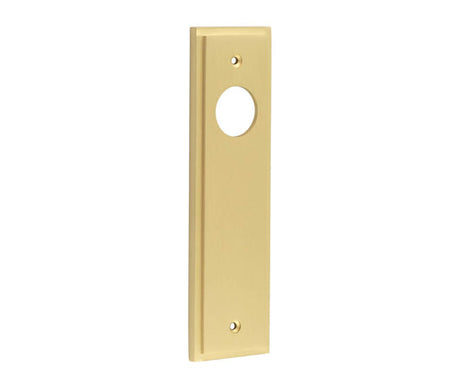 Burlington II Lever Plate Choices Latch Satin Brass
