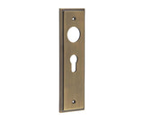 Burlington II Lever Plate Choices Euro Antique Brass