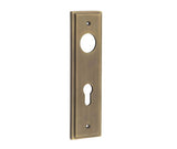 Burlington II Lever Plate Choices Din Euro Antique Brass