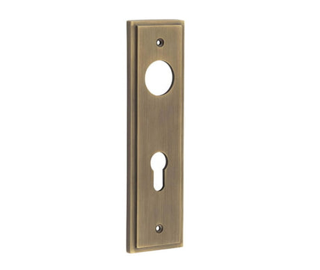 Burlington II Lever Plate Choices Din Euro Antique Brass