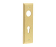 Burlington II Lever Plate Choices Din Euro Satin Brass