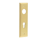 Burlington II Lever Plate Choices Din Euro Satin Brass