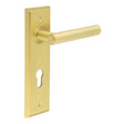 Richmond Door Handle Din Euro Backplate Satin Brass