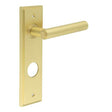 Richmond Door Handle Din Bathroom Backplate Satin Brass