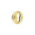 Burlington Euro Profile Escutcheons No Rose Satin Brass