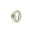 Burlington Euro Profile Escutcheons No Rose Satin Nickel